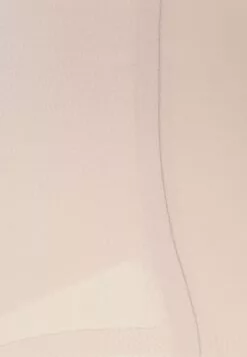 Chantelle Pure Light - Slip - Beige Dore -Chantelle Winkel b7a2bee8870a47d0943cbf17133a69ee