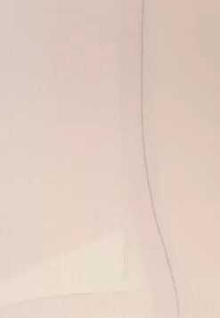 Chantelle Pure Light - Slip - Beige Dore -Chantelle Winkel bc69fb0dba0d46cf9a8b69e39356d714